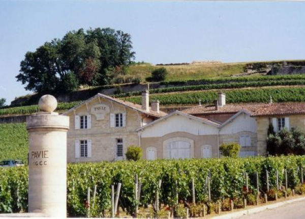 柏菲庄园柏菲精神干红葡萄酒 esprit de pavie 750ml