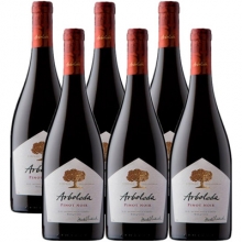 珍木庄园（阿波雷达）黑皮诺干红葡萄酒 Arboleda Pinot Noir 750ml