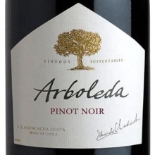 珍木庄园（阿波雷达）黑皮诺干红葡萄酒 Arboleda Pinot Noir 750ml