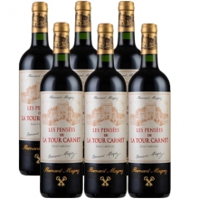 拉图嘉利庄园副牌干红葡萄酒 Les Pensees de La Tour Carnet 750ml