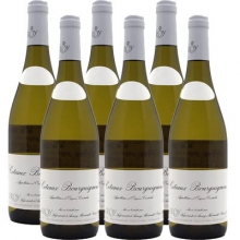 【限时特惠】勒桦酒庄勃艮第丘干白葡萄酒 Domaine Leroy Coteaux Bourguignons Blanc 750ml